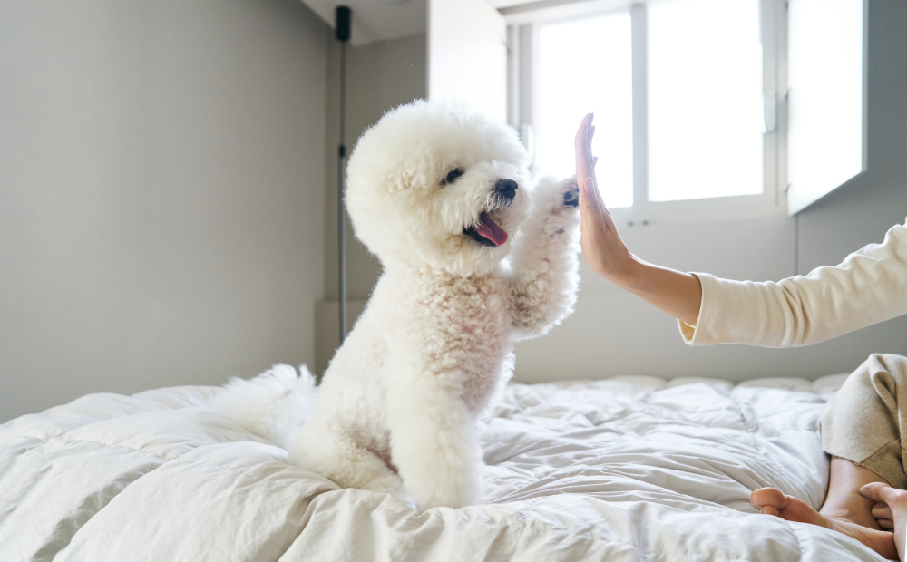 함께 볼만한 정보